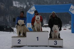 Lenk 2012 SM